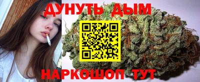 индика Будённовск