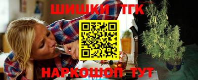 индика Будённовск