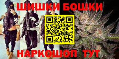 индика Будённовск